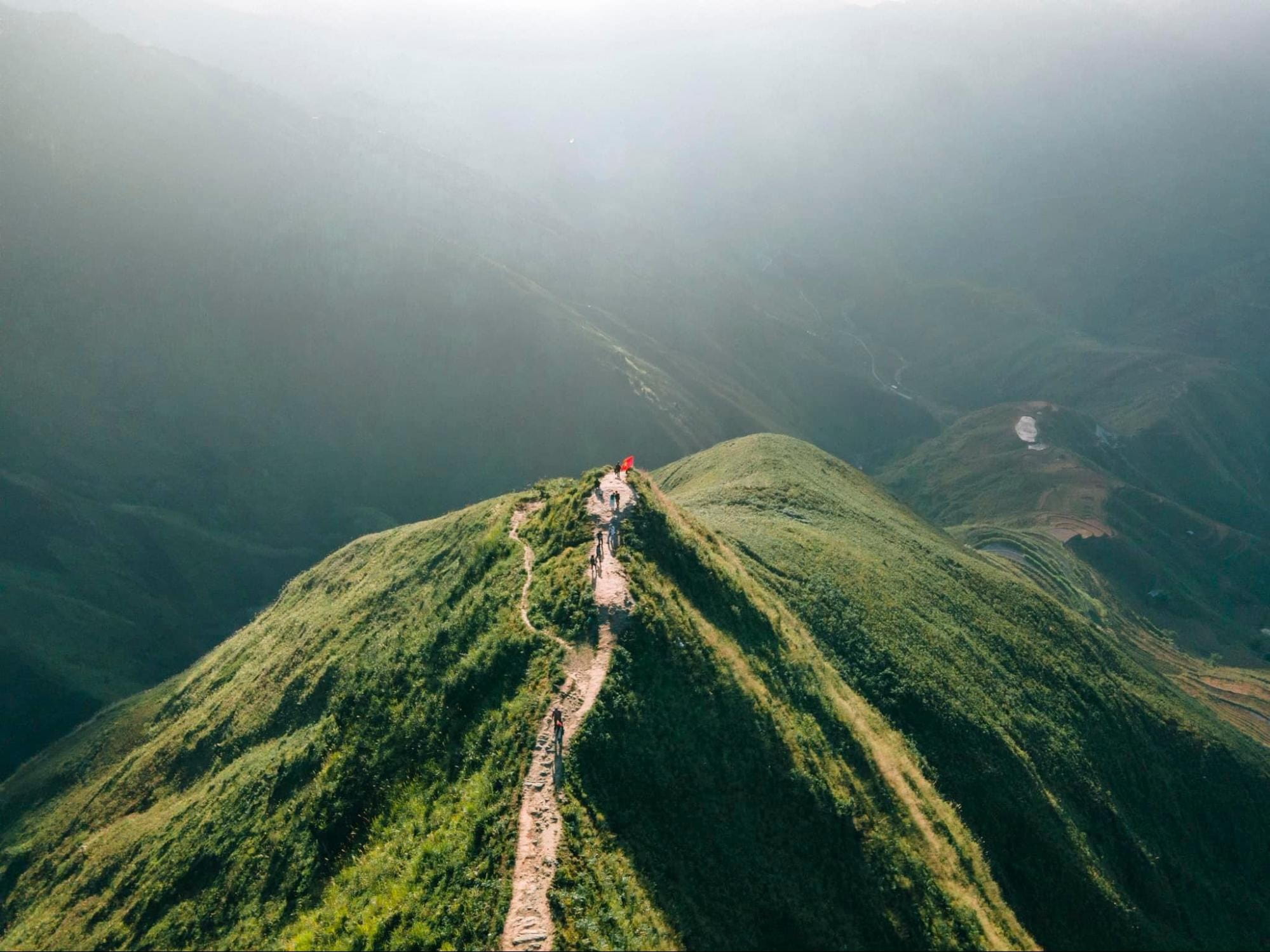 Sống lưng khủng long Háng Đồng