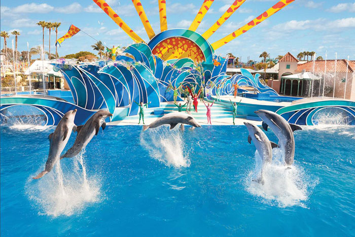 10-diem-du-lich-hap-dan-tai-california-sea-world-san-diego