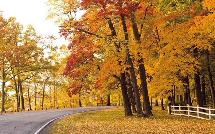Du lịch Canada mùa Thu
