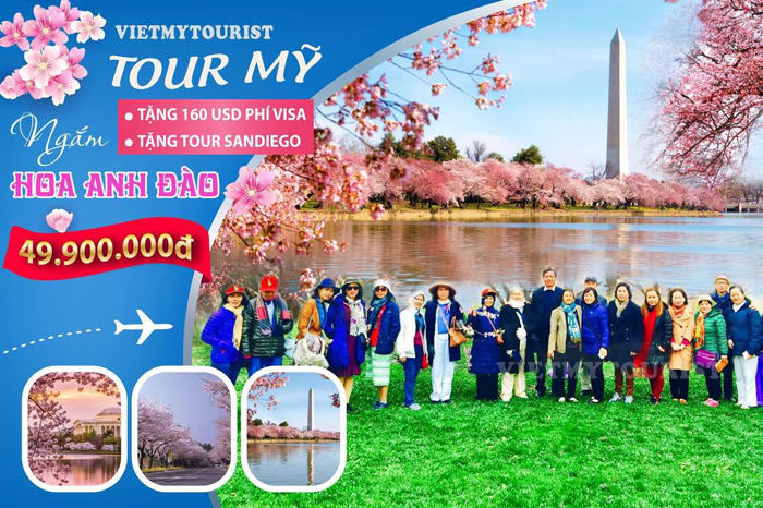 Du lịch Mỹ vào mùa hoa anh đào Du lịch Mỹ mùa hoa Anh đào