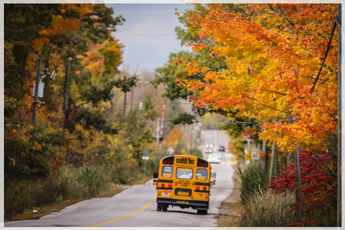 sac-thai-4-mua-o-toronto-autumn