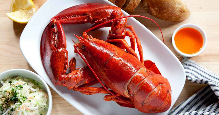 Du lịch Mỹ mùa hoa Anh đào Du lịch Mỹ mùa hoa Anh đào