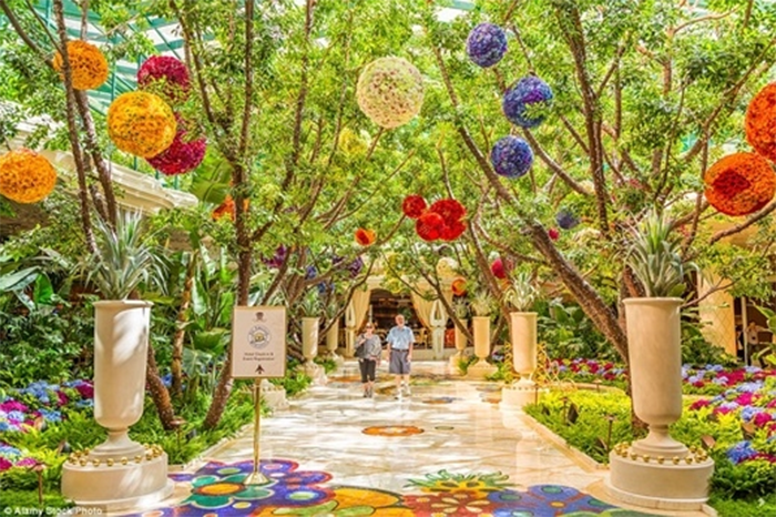 Vui chơi tại Las Vegas